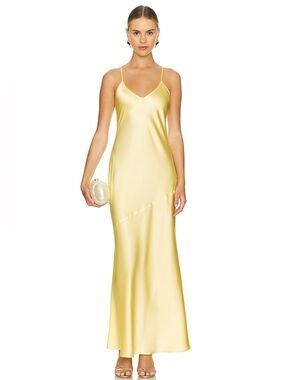 NWT The Mode 100% silk Rosalie slip dress